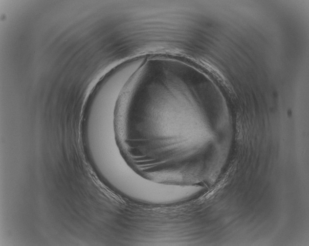 X0000073750880200608241344