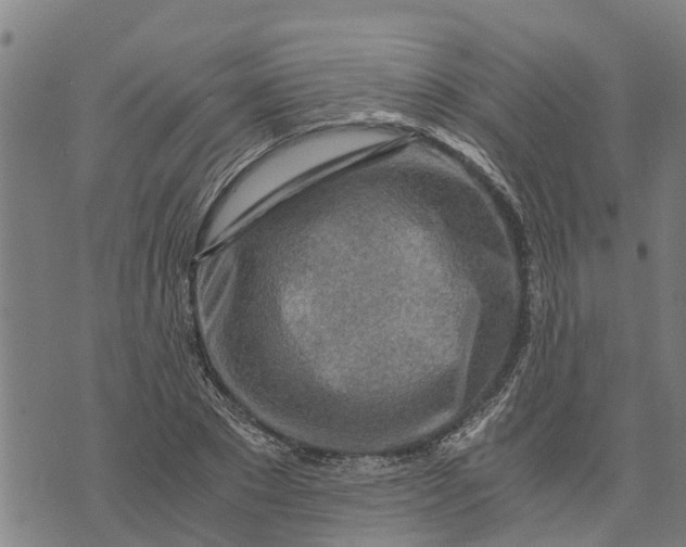 X0000073750881200608241344