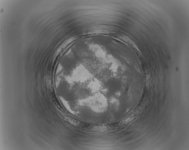 X0000073750882200608241344