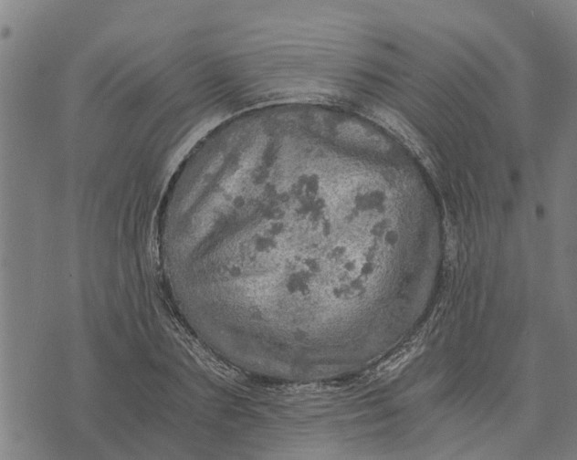 X0000073750883200608241344