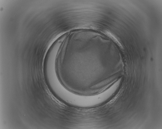 X0000073750884200608241344