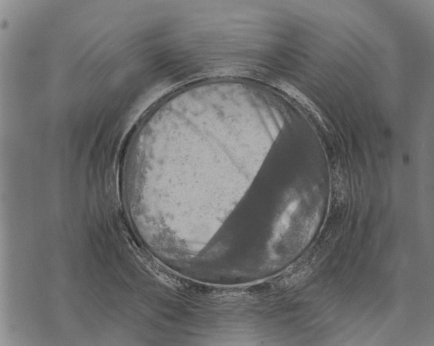 X0000073750886200608241344