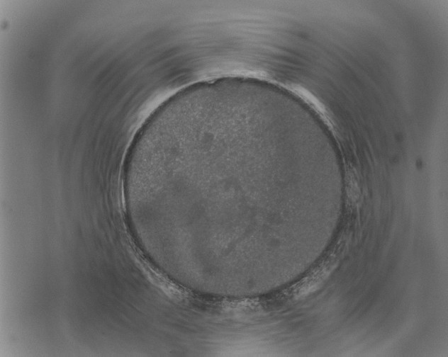 X0000073750887200608241344