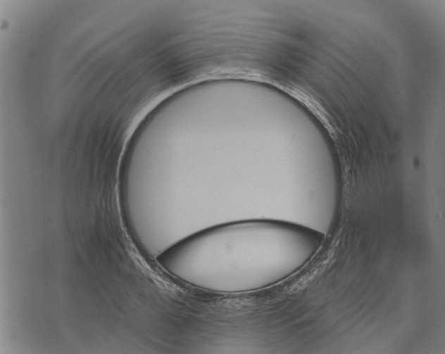 X0000073750888200608241344