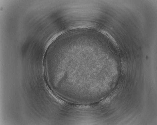 X0000073750890200608241344