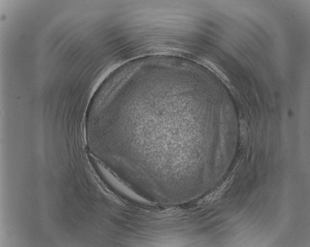 X0000073750891200608241344