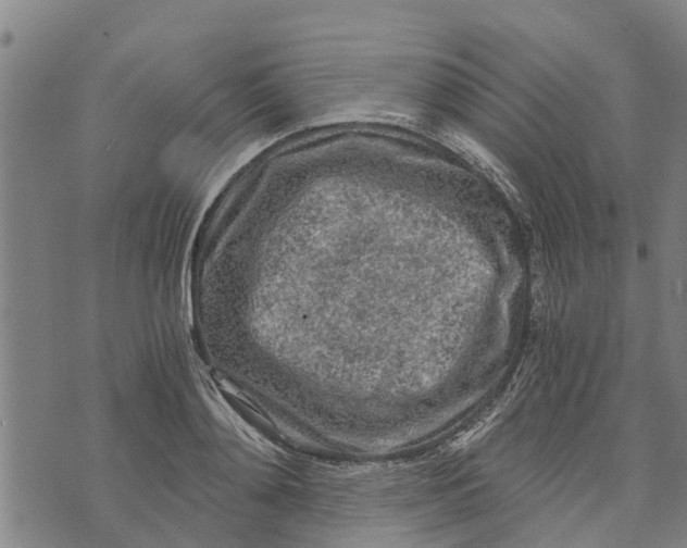 X0000073750892200608241344