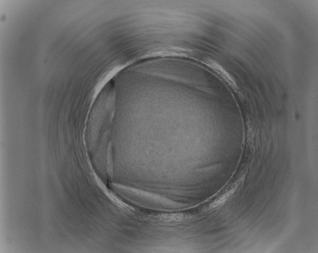 X0000073750893200608241344