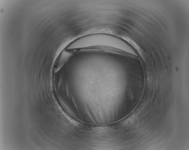 X0000073750894200608241344