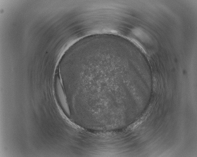 X0000073750895200608241344