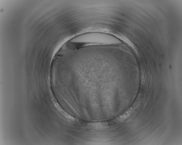 X0000073750896200608241344