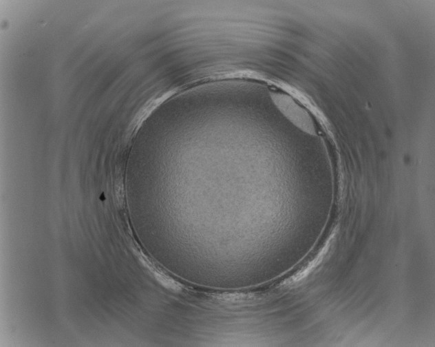 X0000073750897200608241344