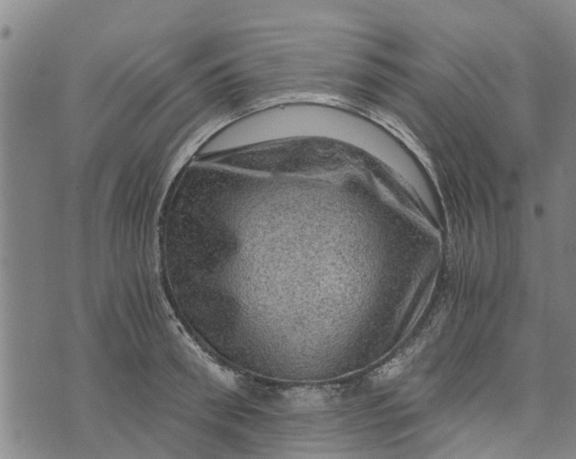 X0000073750898200608241344