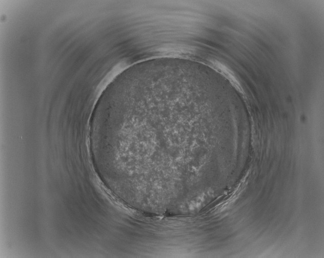 X0000073750899200608241344