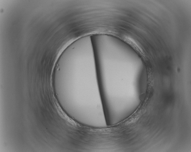 X0000073750900200608241344