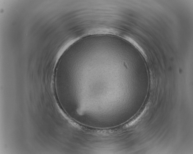 X0000073750901200608241344