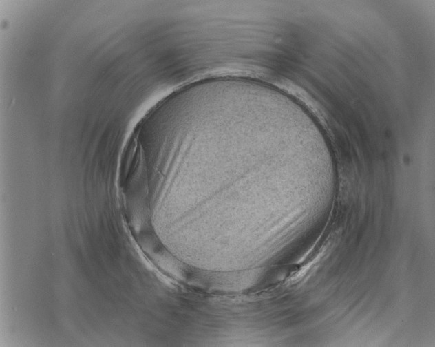 X0000073750902200608241344