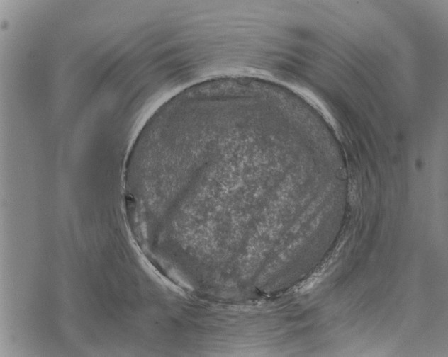 X0000073750903200608241344