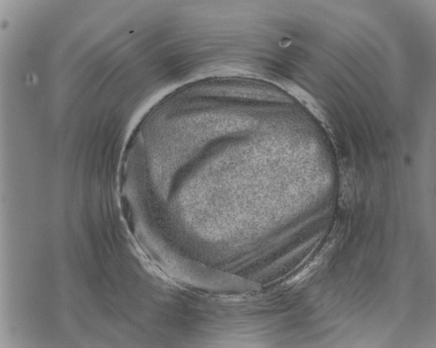 X0000073750904200608241344