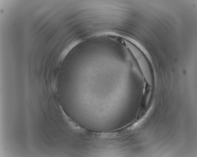 X0000073750905200608241344