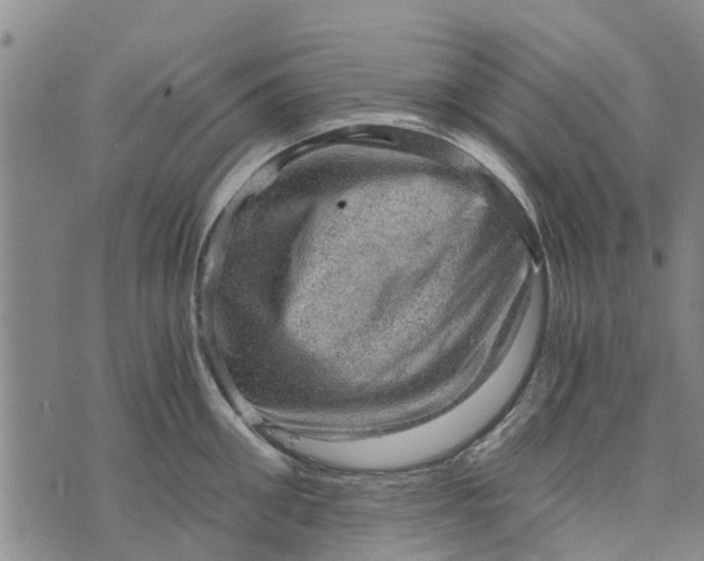 X0000073750906200608241344