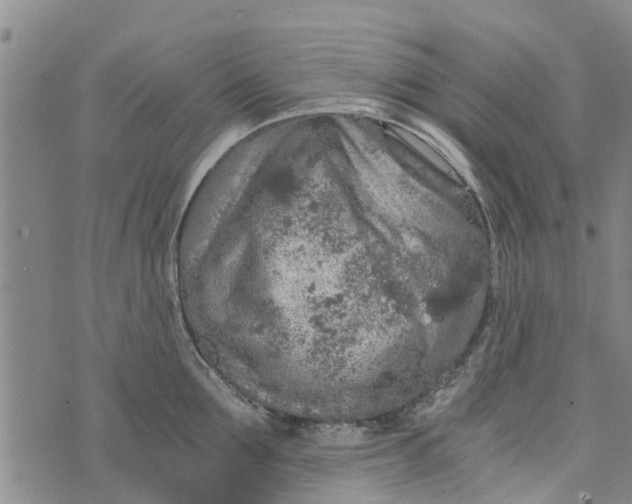 X0000073750907200608241344