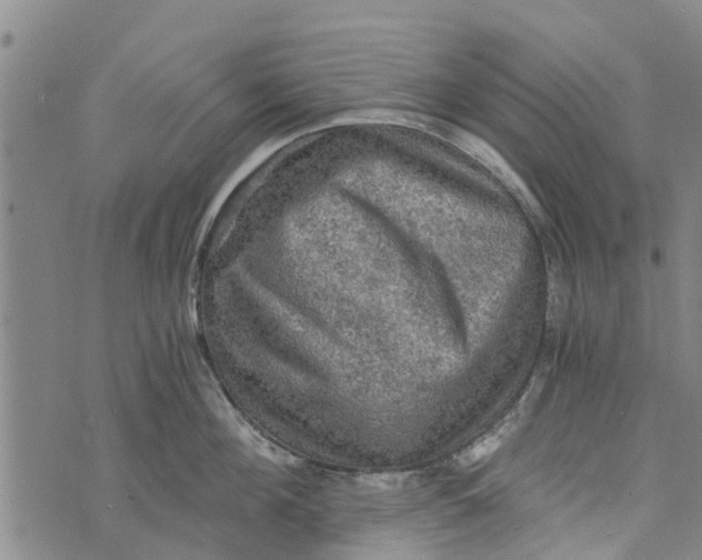 X0000073750908200608241344