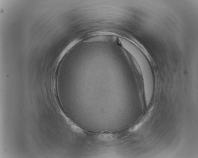 X0000073750909200608241344