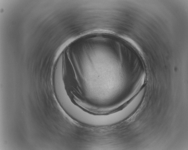 X0000073750910200608241344