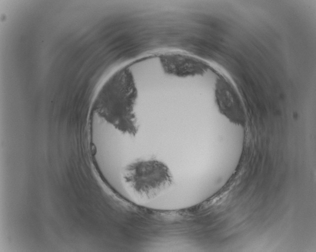 X0000073750911200608241344