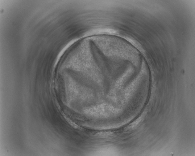 X0000073750912200608241344