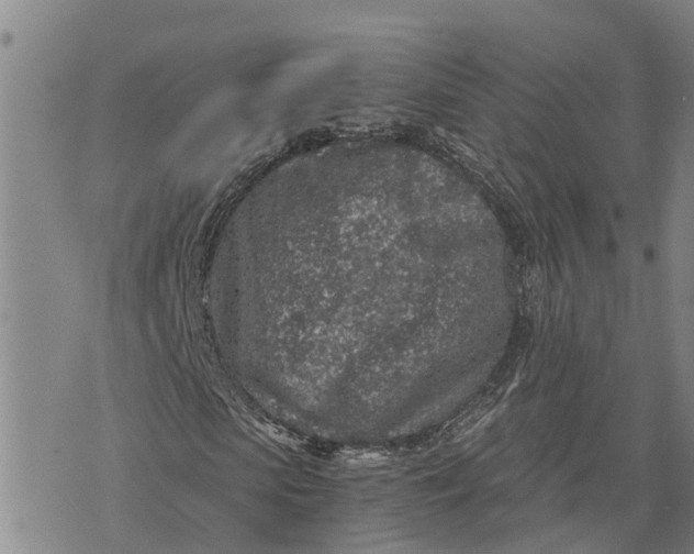 X0000073750913200608241343