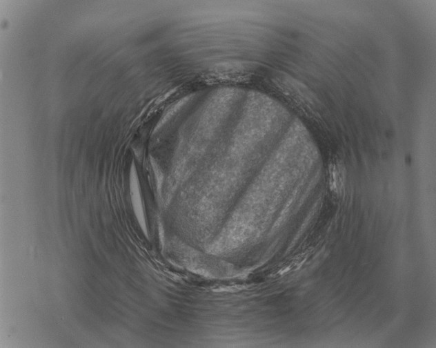 X0000073750915200608241343