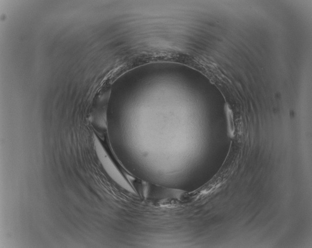 X0000073750916200608241343