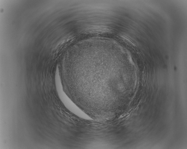 X0000073750917200608241343