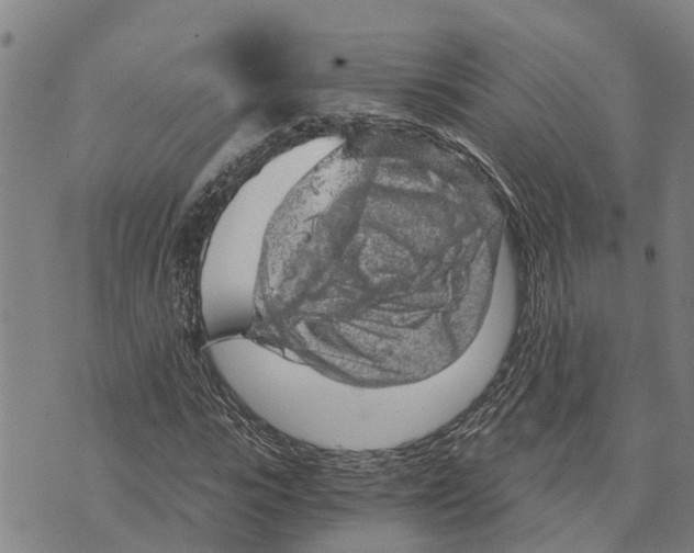 X0000073750919200608241343