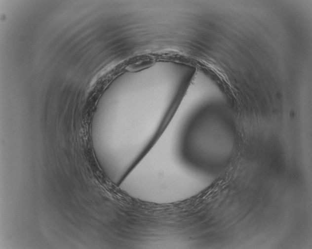 X0000073750920200608241343