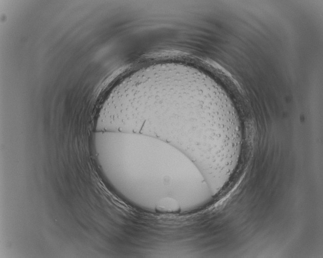 X0000073750921200608241343