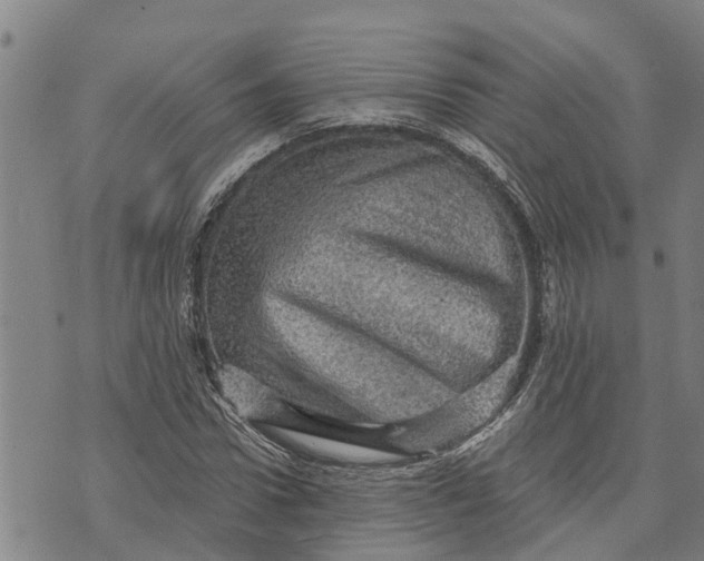 X0000073750922200608241343