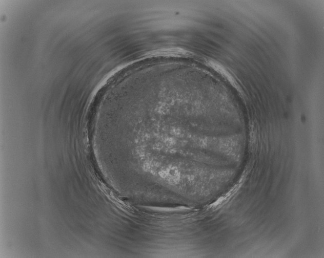 X0000073750923200608241343