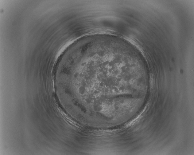 X0000073750925200608241343