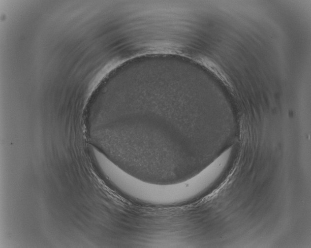 X0000073750926200608241343