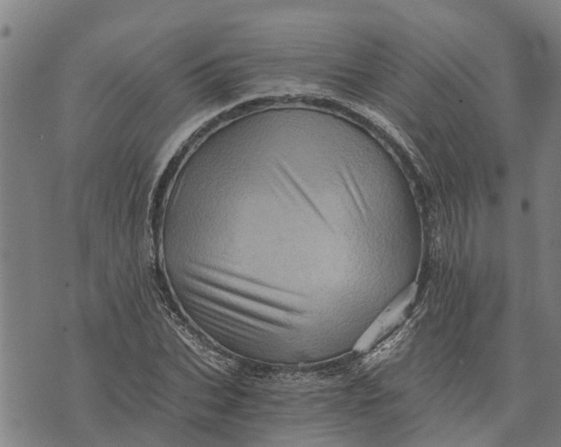 X0000073750927200608241343