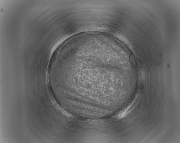 X0000073750928200608241343