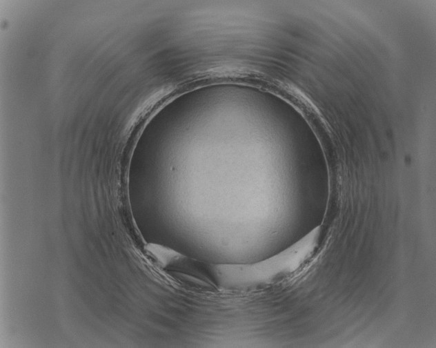 X0000073750930200608241343