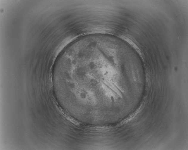 X0000073750933200608241343