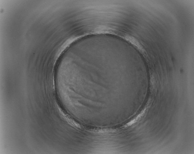 X0000073750934200608241343