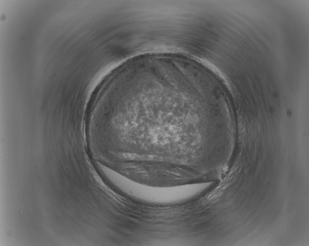 X0000073750935200608241343