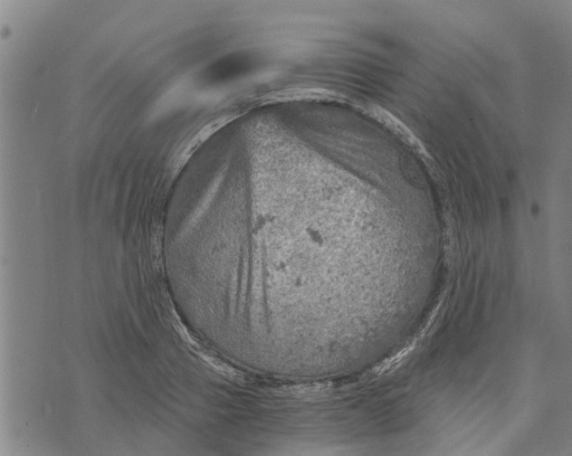 X0000073750937200608241343