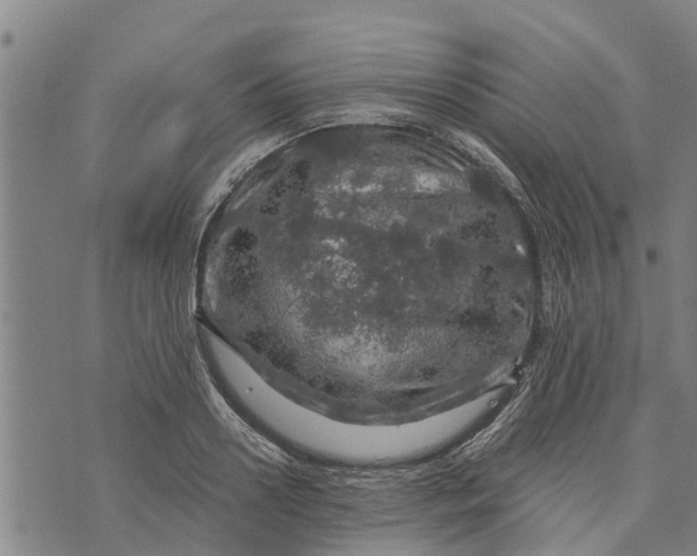 X0000073750938200608241343